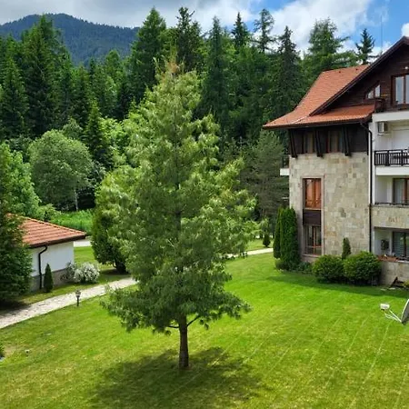 Pinewood Ang Apartment, Semiramida Hills ボロヴェッツ
